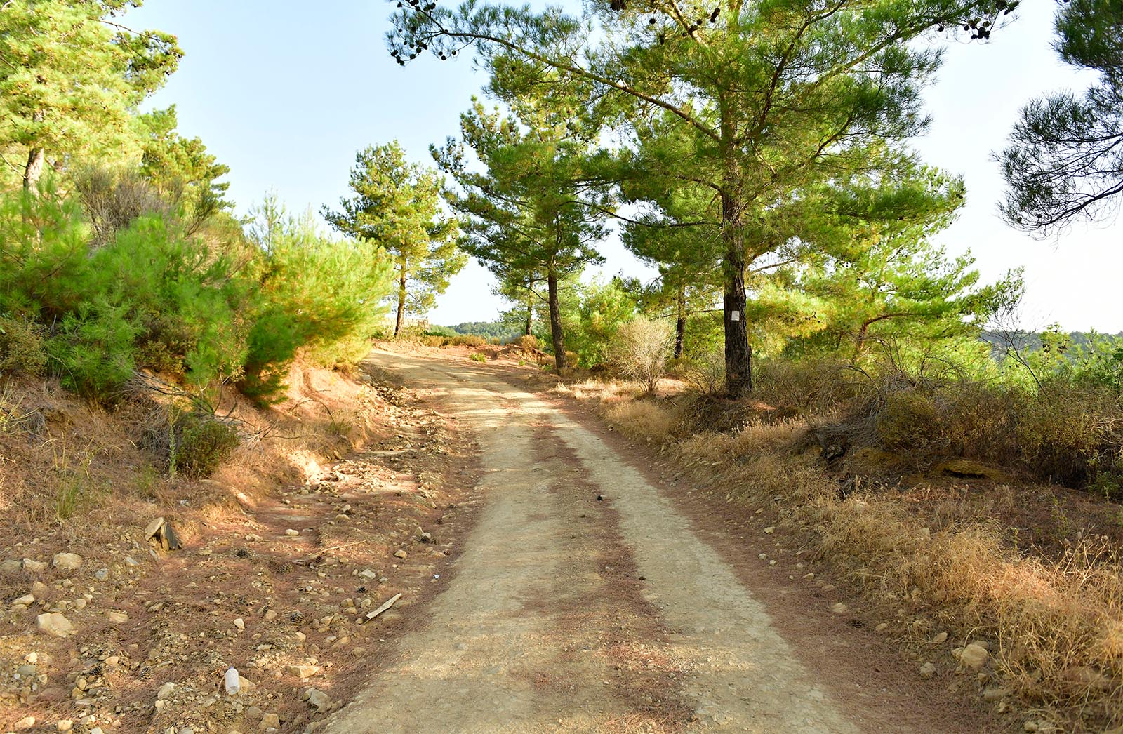 Yeşilyurt Yürüyüş Rotaları